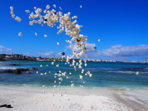 Popcornstrand in Fuerteventura